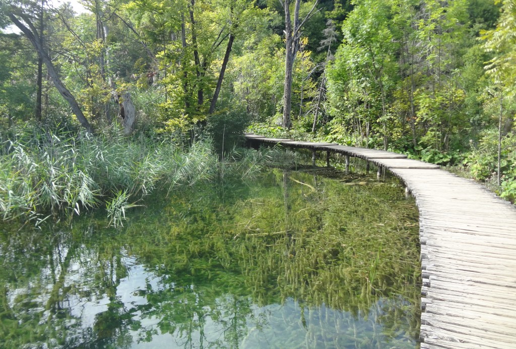 Boardwalk at the Plitvice Lakes