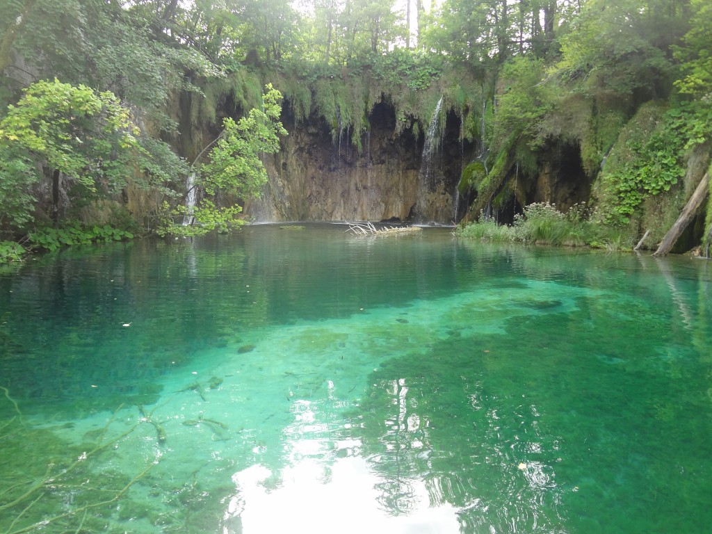 Plitvice Lakes - pond