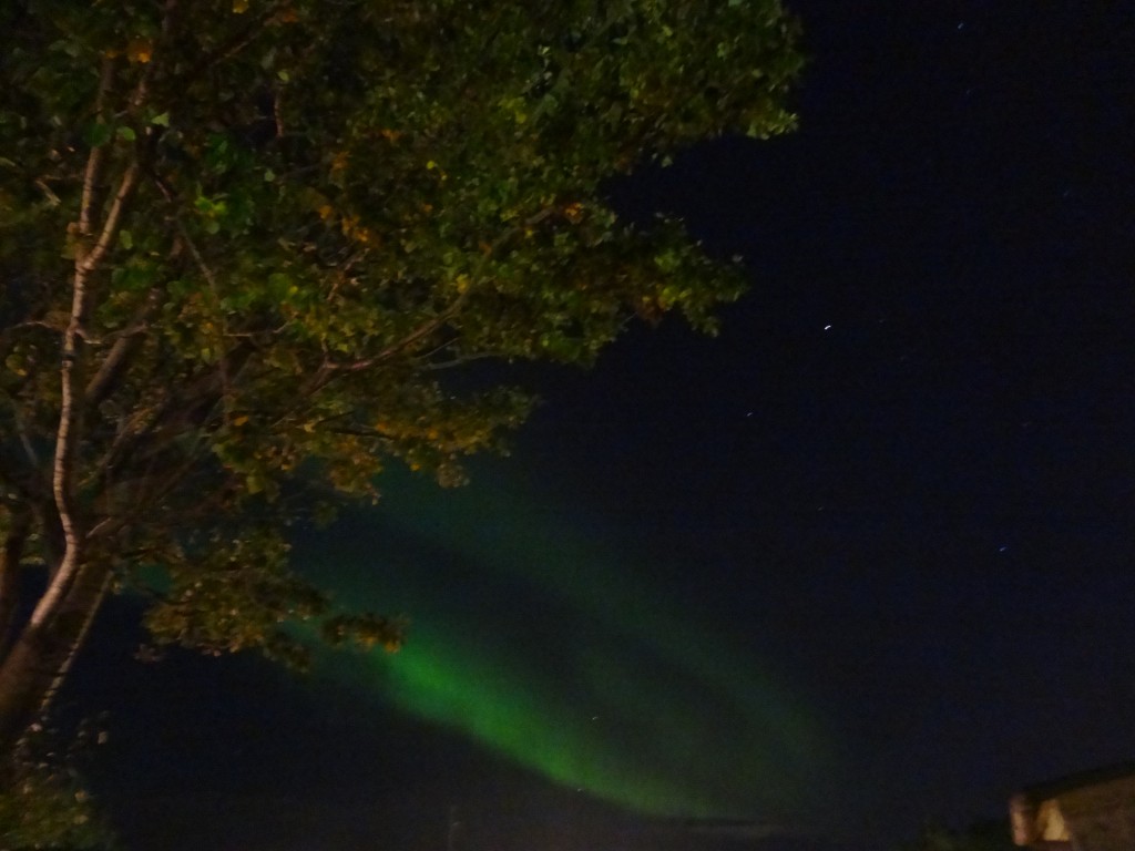 Northern lights in Reykjavik