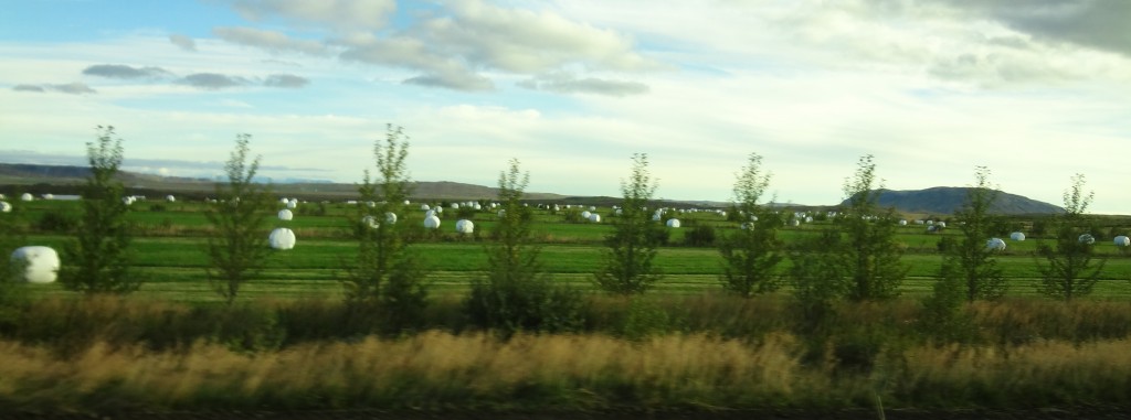 Scenery along the Ring Road Iceland