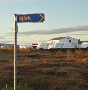 Bjork Road in Iceland