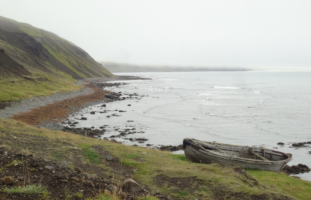 Shoreline on our way to Akureyri