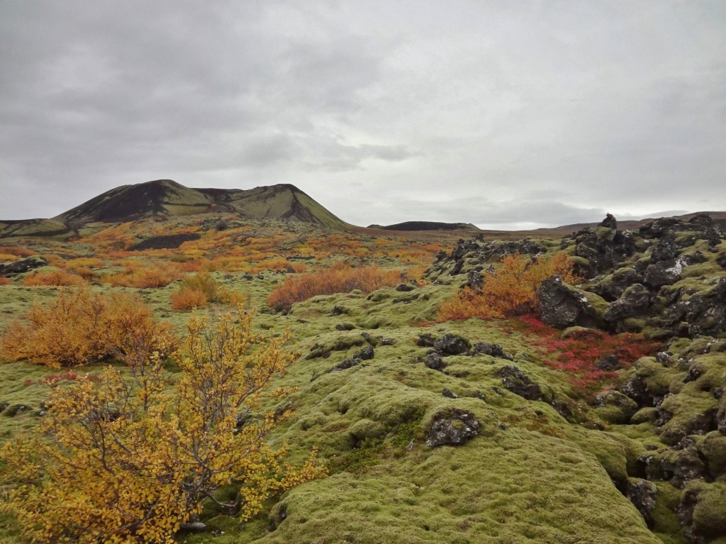 Unique landscapes on the Ring Road Iceland