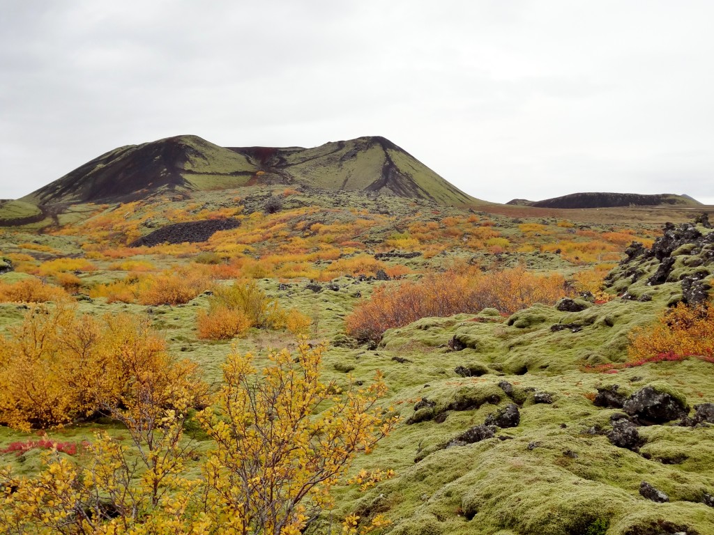 Unique landscapes on the Ring Road Iceland