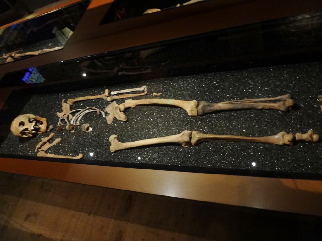 Inside the Vasa Museum in Stockholm