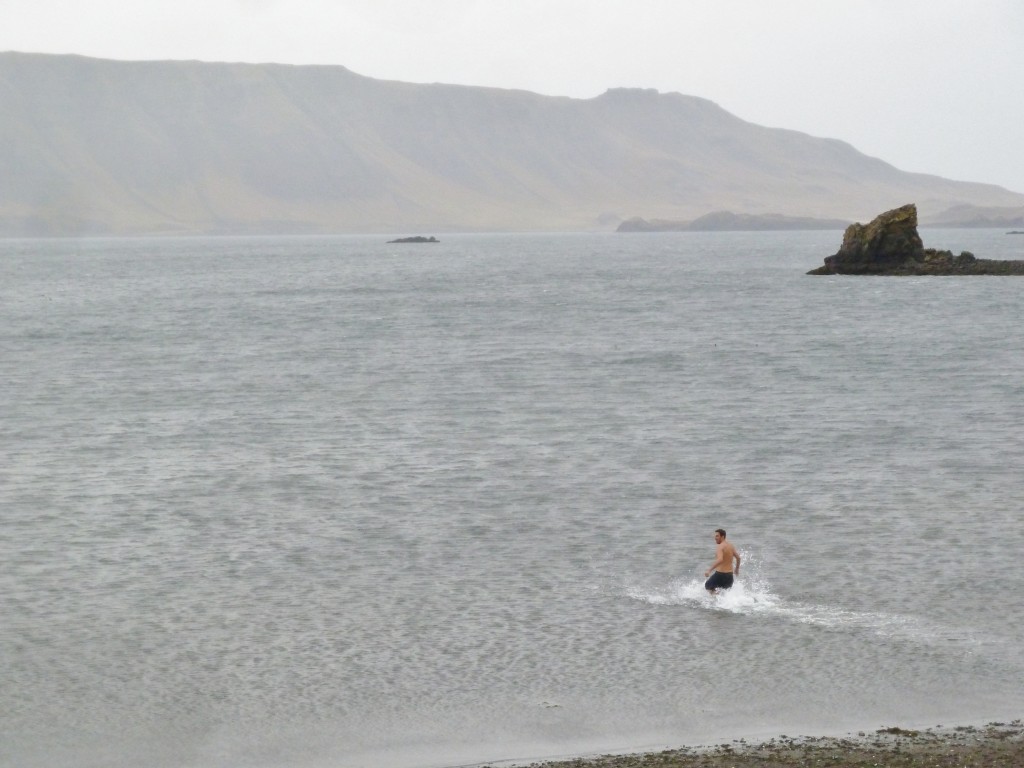 Swimming in the North Atlantic - Iceland