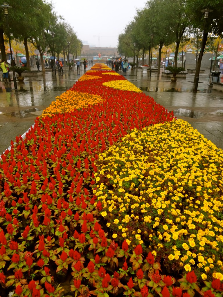 Army of Terracotta Warriors