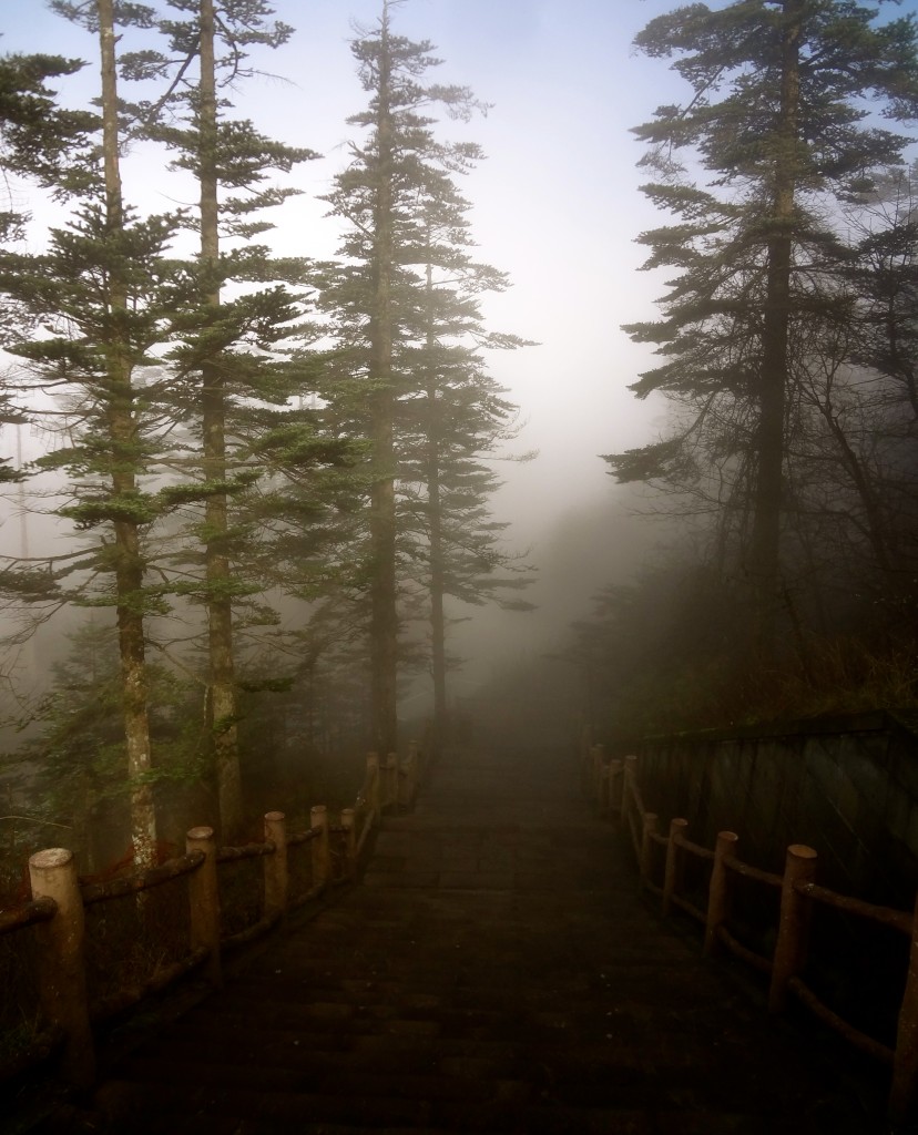 Emei Shan - 1 of 4 Sacred Mountains in China