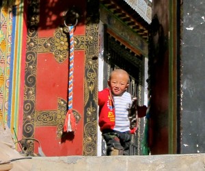 Traveling in Tibet, the Rooftop of the World 