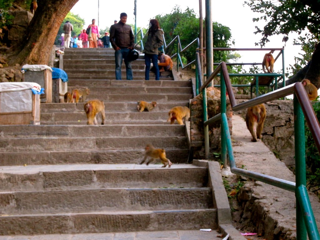 Monkey Temple in Kathmandu