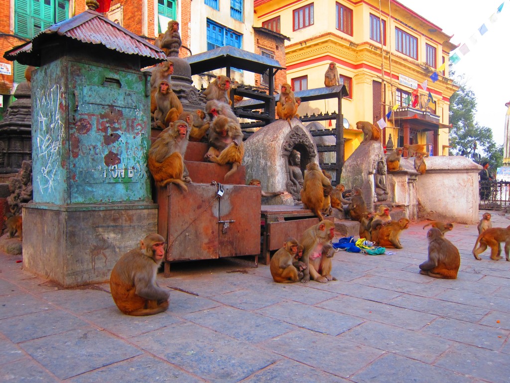 Monkey Temple in Kathmandu