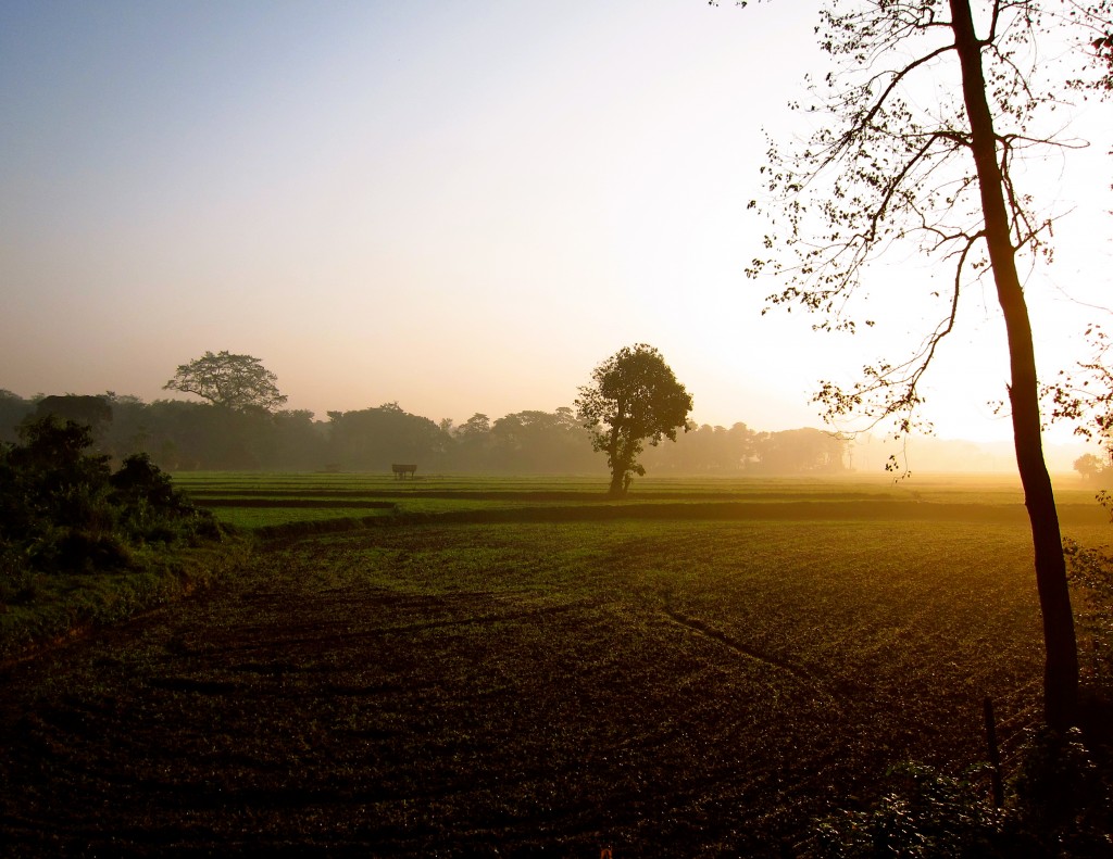 Three day tour in Chitwan National Park...