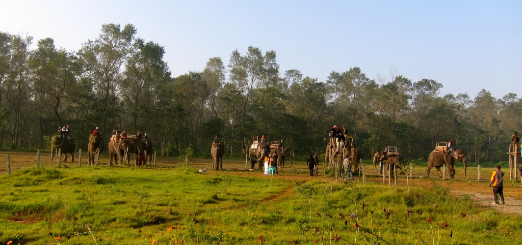 Three day tour in Chitwan National Park...