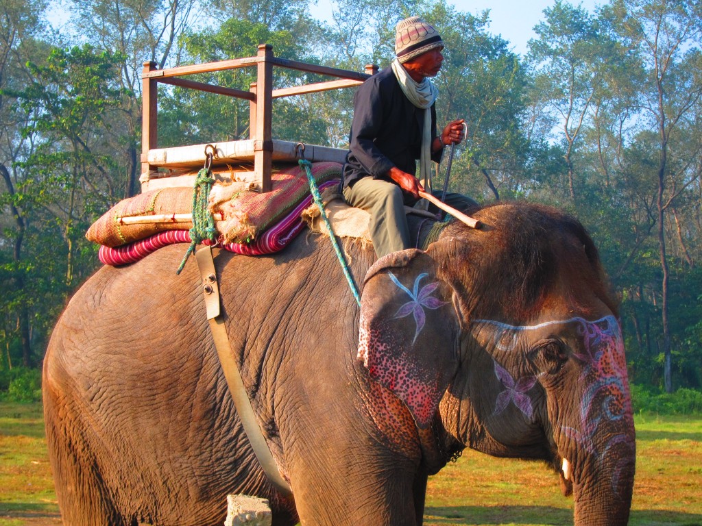 Three day tour in Chitwan National Park...