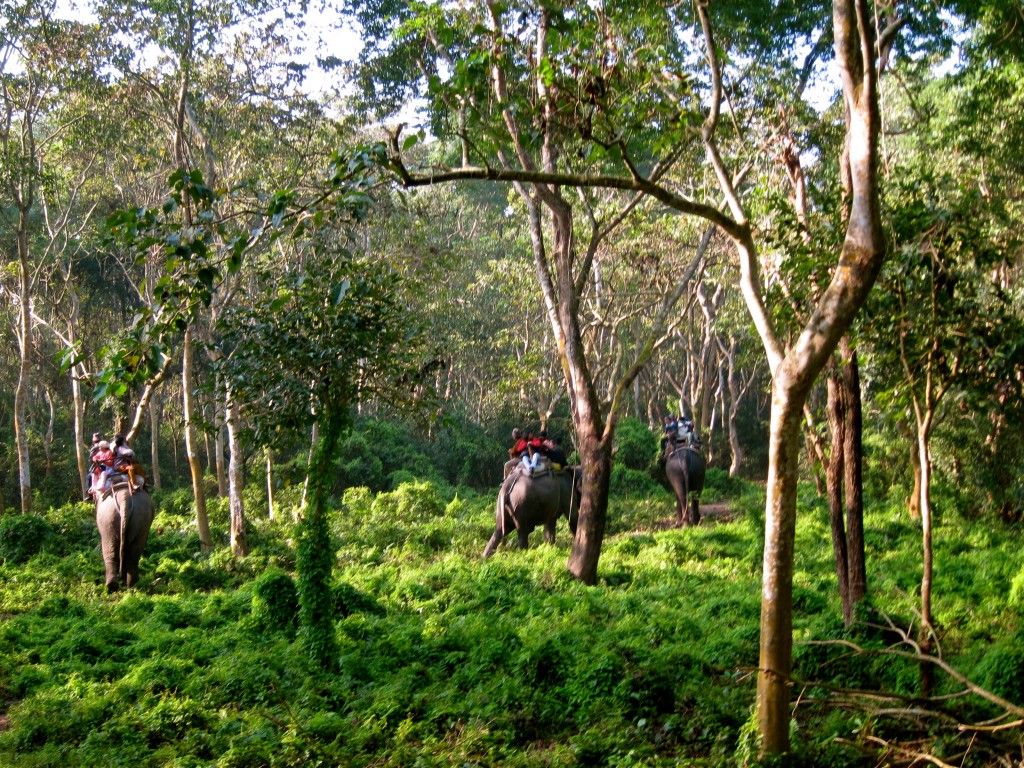 Three day tour in Chitwan National Park...