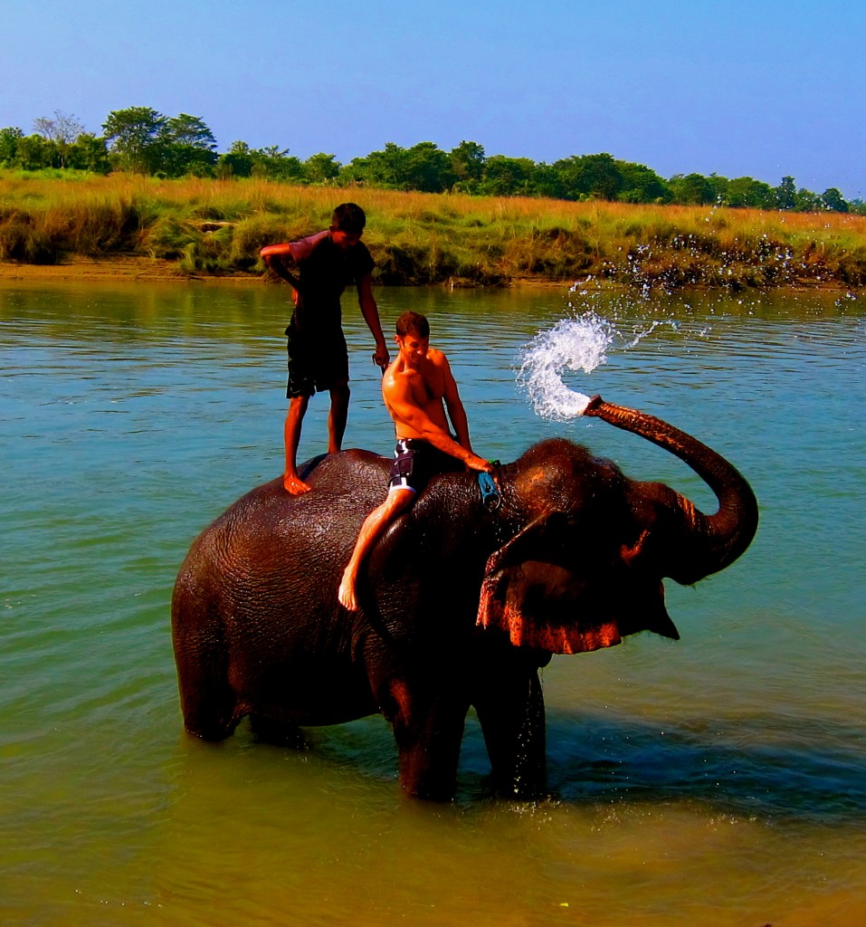 Elephant Bathing in Chitwan National Park...