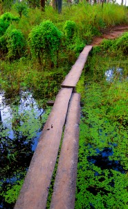 A Chitwan creek crossing