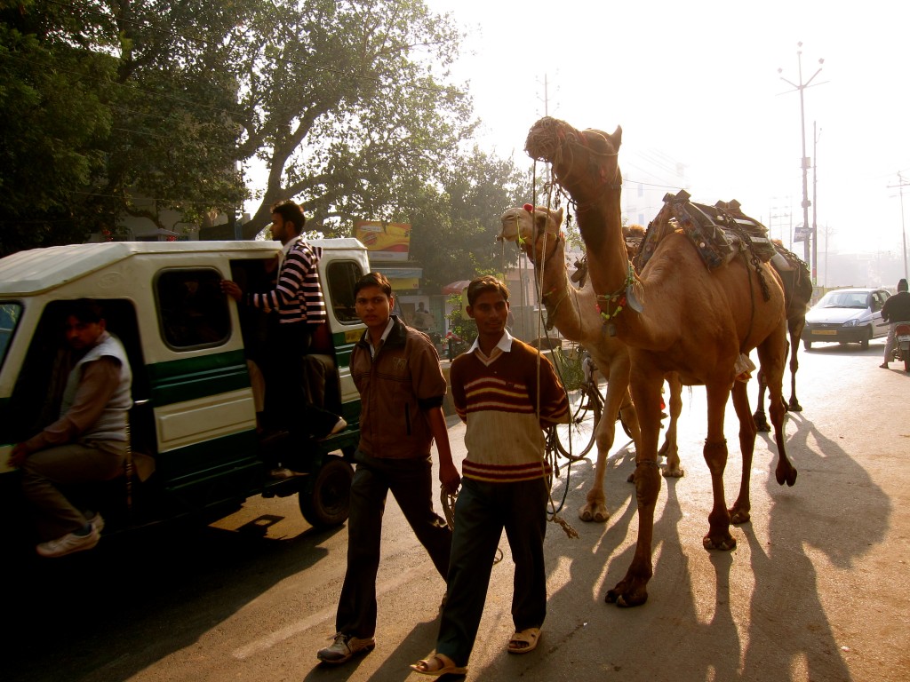 Backpacking in India! The Land of Possibiilties 