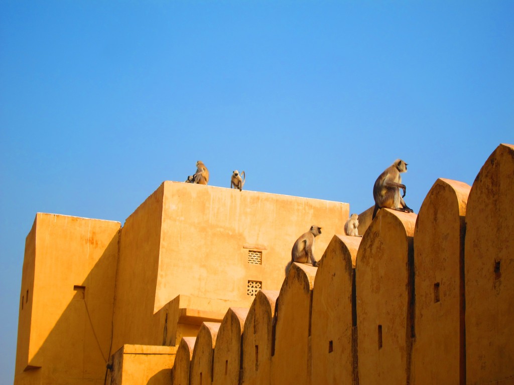 The Amber Fort - Jaipur