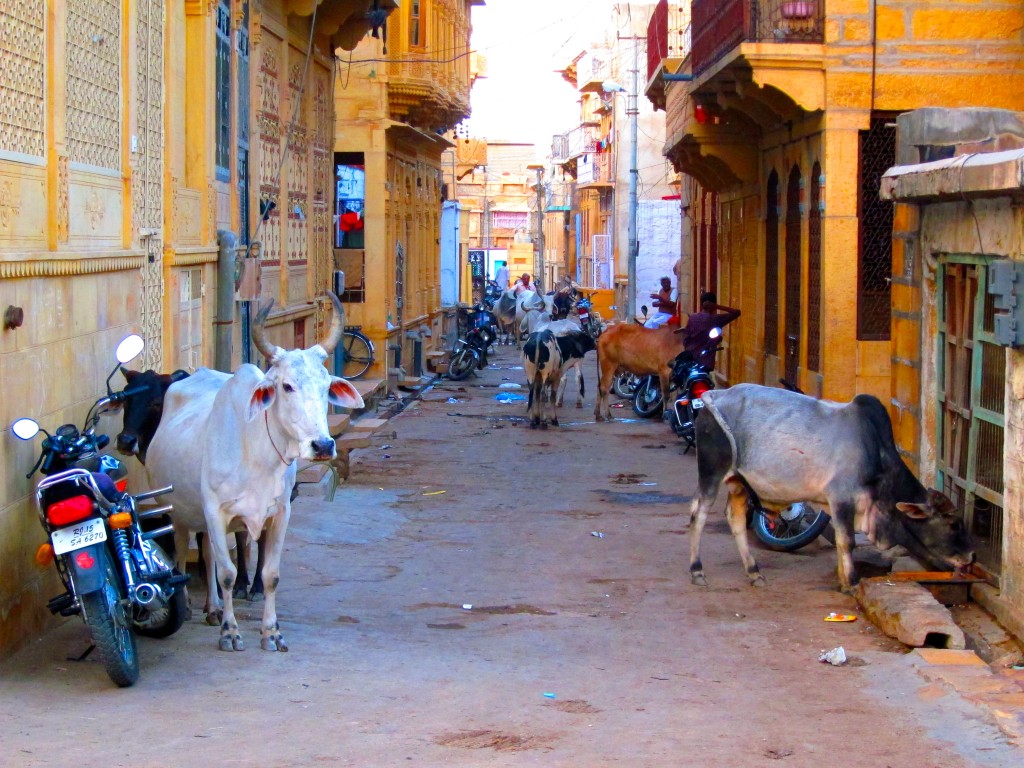 Travel from Jaipur to Jaisalmer