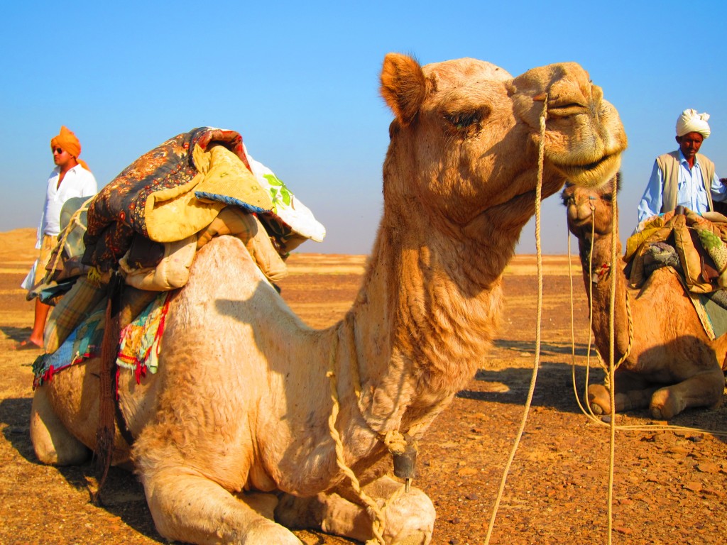 Travel from Jaipur to Jaisalmer