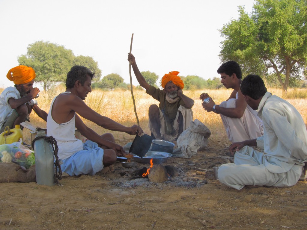 Our camel safari lunch