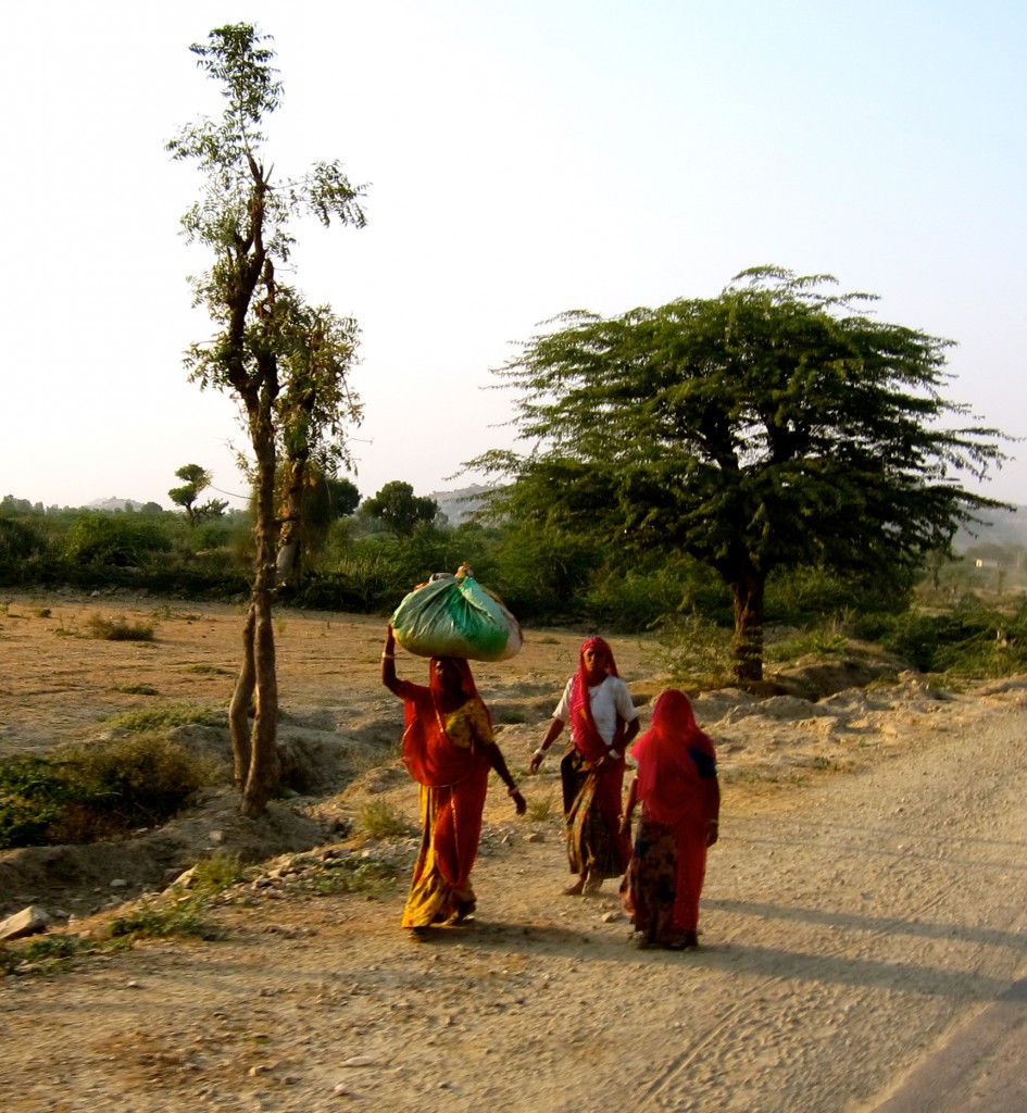 Udaipur - The Venice of India 