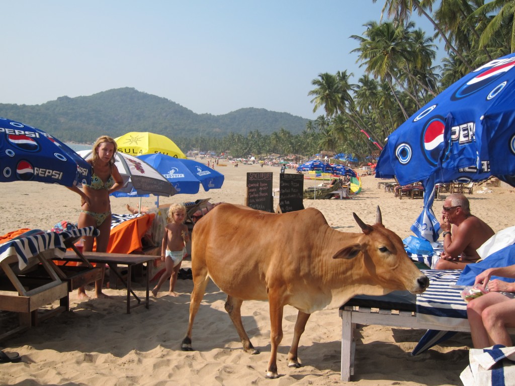 My First Week Backpacking in Goa