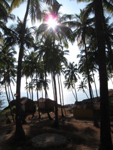 My First Week Backpacking in Goa