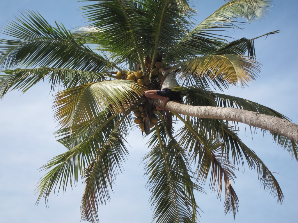 Two Weeks in a Palolem Beach Hut