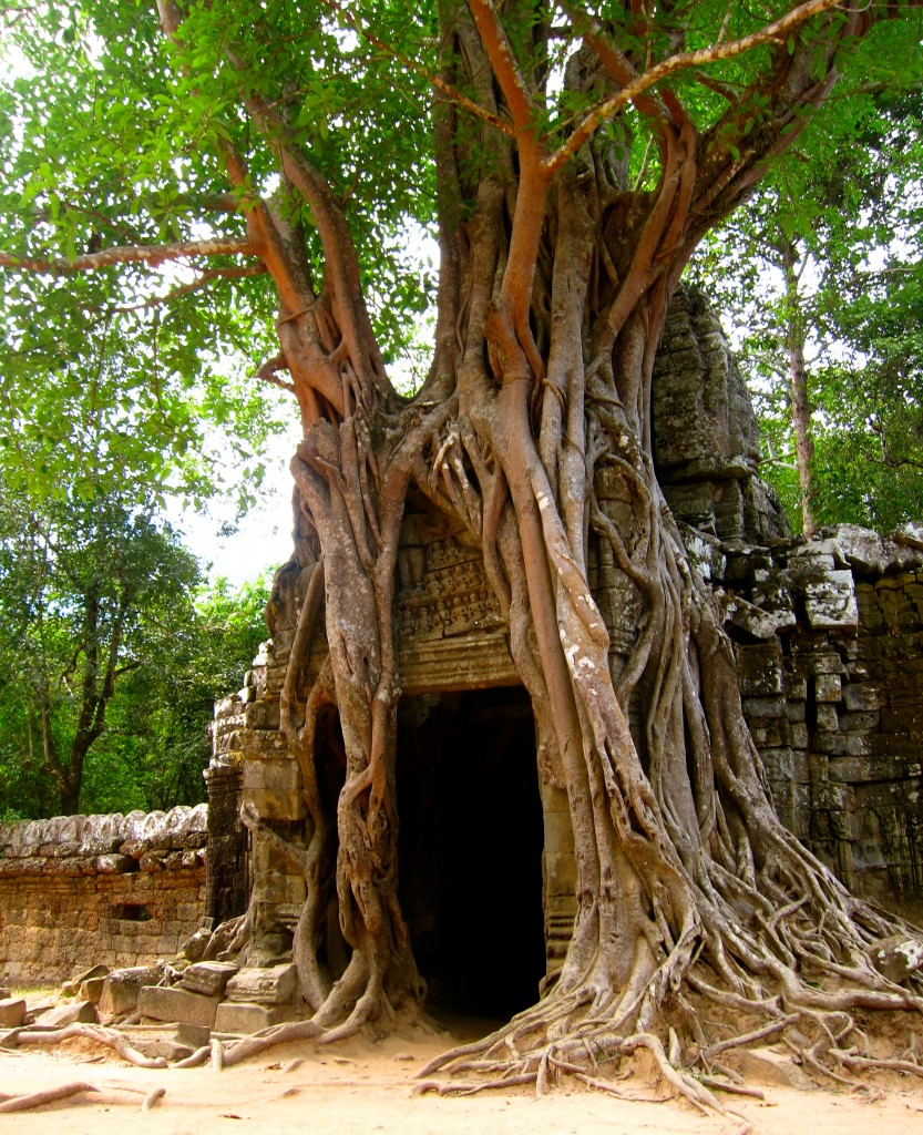 Siem Reap and the Angkor Wat Temples in Cambodia