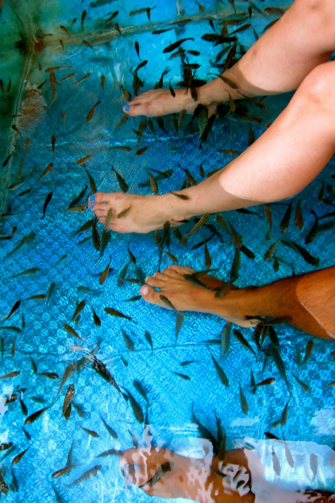 The fish massage in Siem Reap