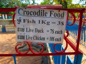 Crocodile farm in Siem Reap