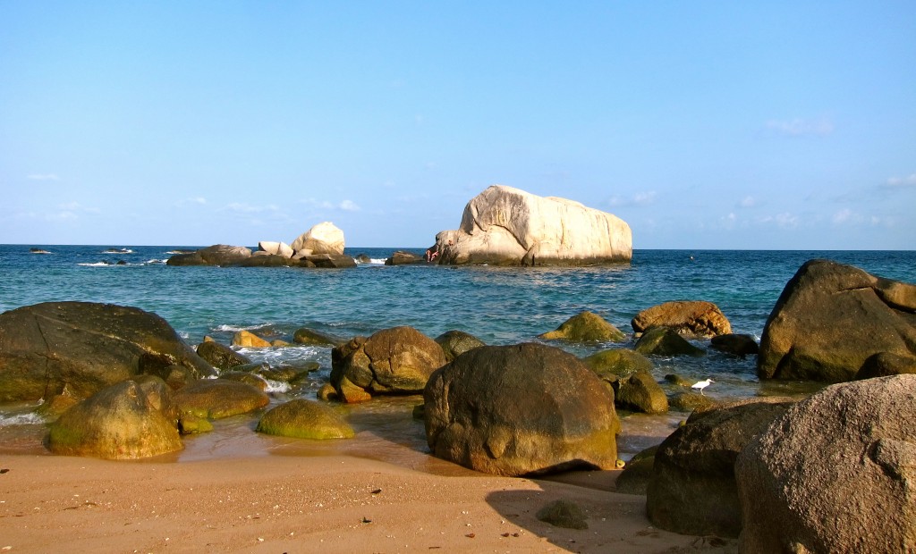 An Escape to Ko Tao Island - Thailand