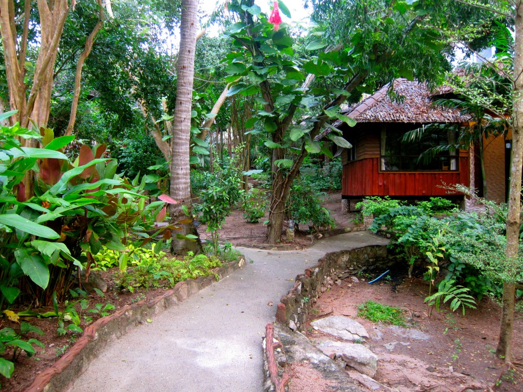 An Escape to Ko Tao Island - Thailand