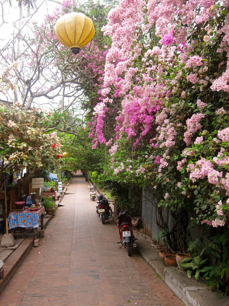 Side streets in Luang Prabang