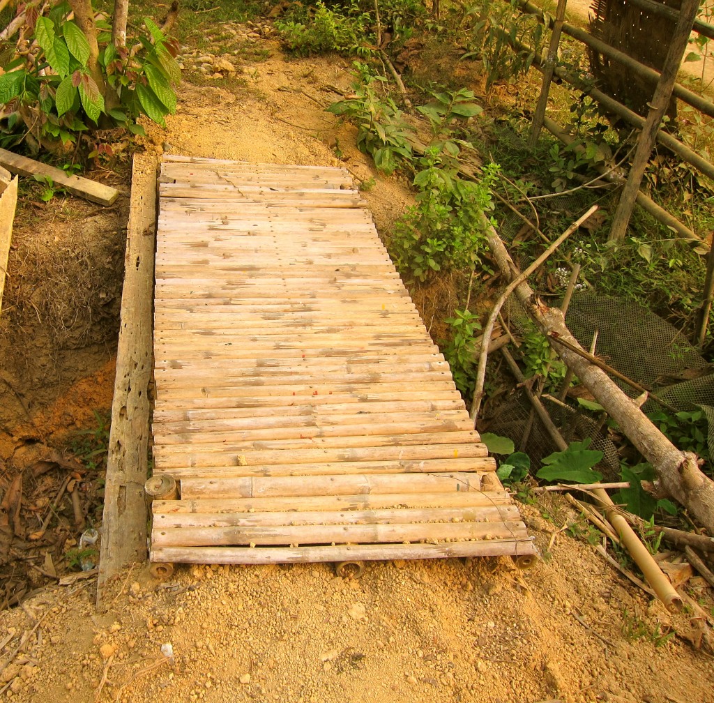 Volunteering at SAELAO in Nathong, Laos