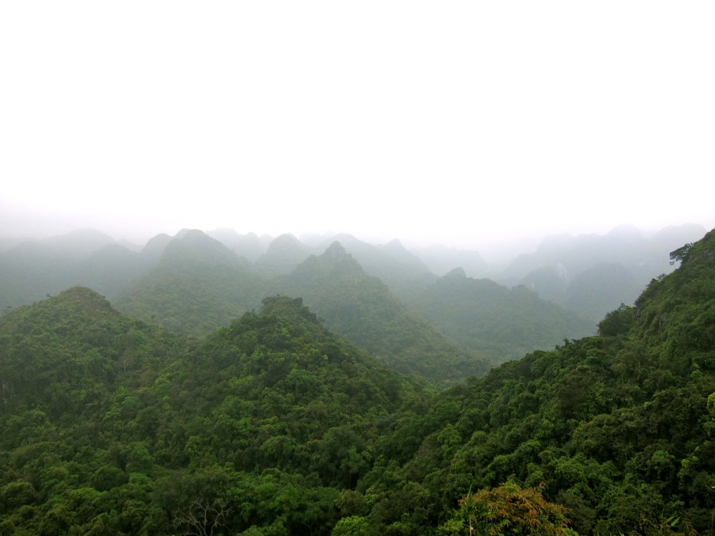 3 Day Tour of Halong Bay, Vietnam 