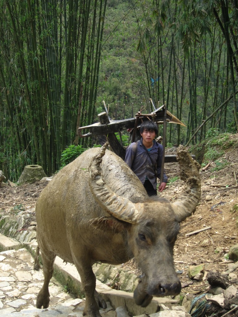 CatCat area in Sapa