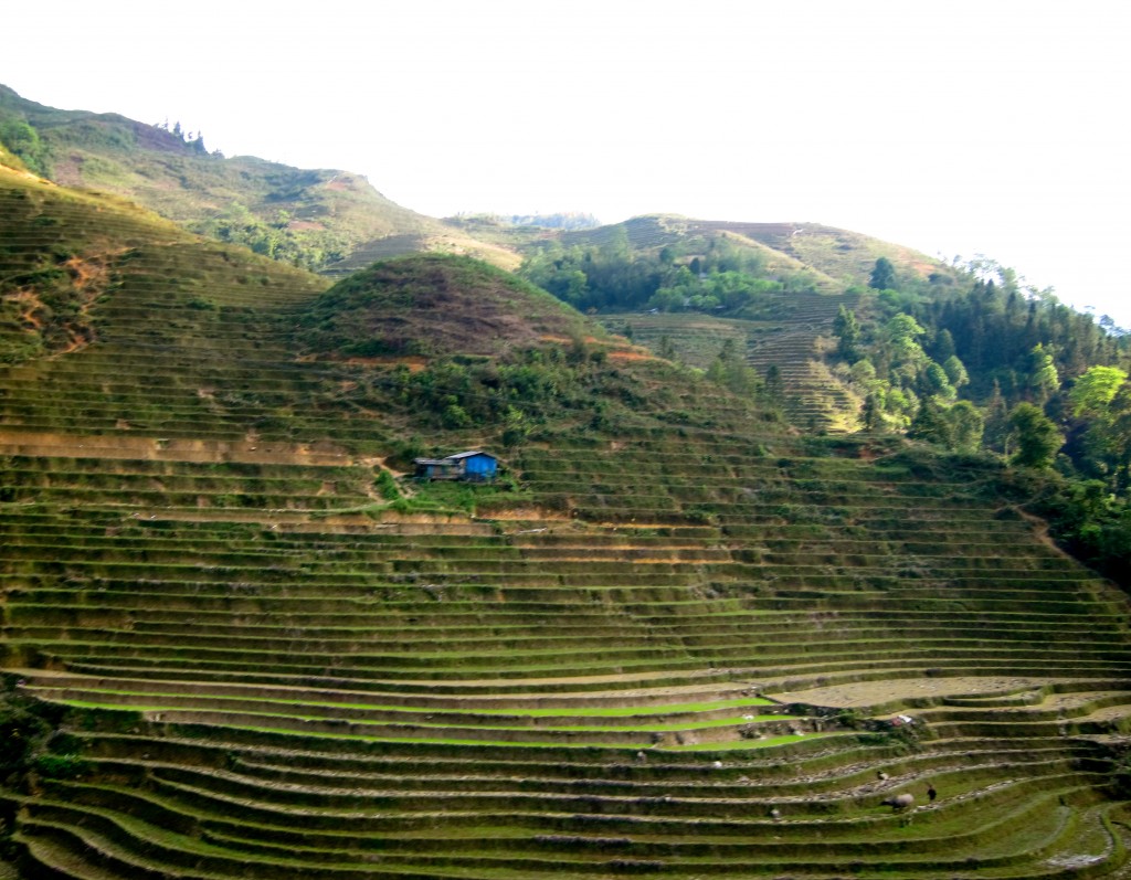 A Return to China to Travel in Shenzhen 