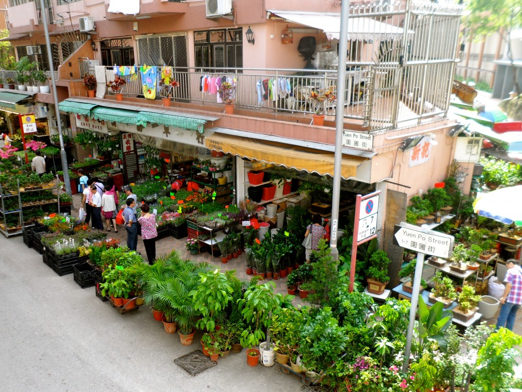 'Bird Street' in Hong Kong