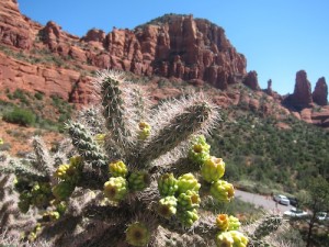 Travel to Sedona and Scottsdale Arizona