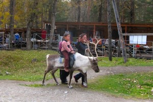 A ride on the local deer in Arshan