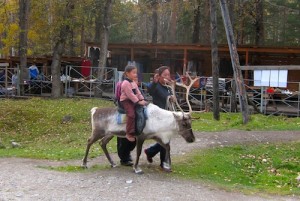 A ride on the local deer in Arshan