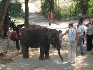 Volunteering in Thailand