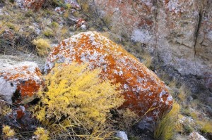 Beautiful rocks lining the coast on Olkhon Island