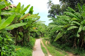 Coral Bay to Long Beach on Kecil